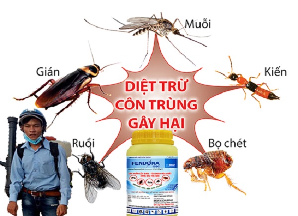 Công ty dịch vụ diệt côn trùng Bắc Ninh