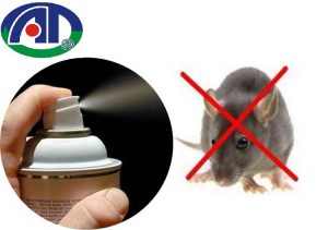 Bạn đã biết cách đuổi chuột bằng thuốc xịt muỗi này chưa?