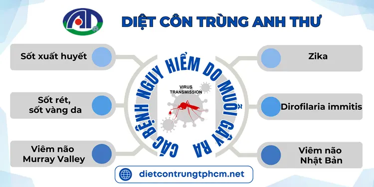 Các bệnh truyền nhiễm nguy hiểm do muỗi gây ra.