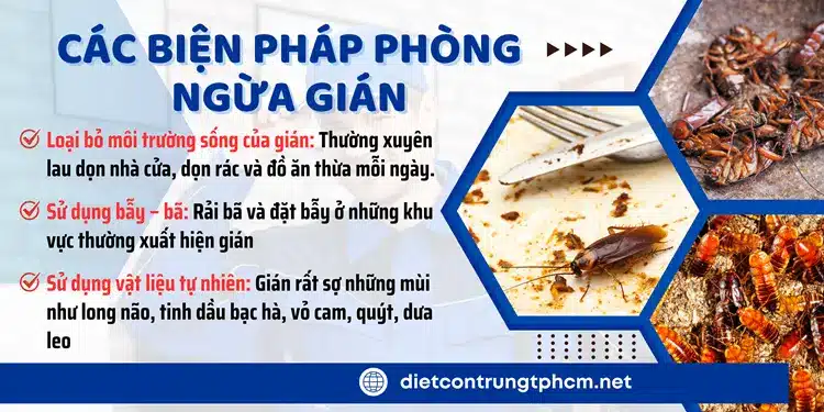 Các biện pháp diệt gián và xua đuổi gián rất hiệu quả mà không gây độc hại.