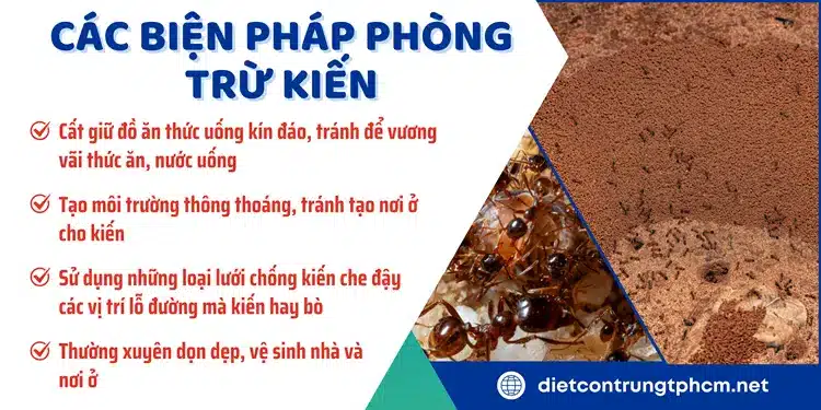 Một số biện pháp phòng trừ kiến hiệu quả Anh Thư đề xuất đến khách hàng nhằm mang lại hiệu quả cao nhất để diệt kiến tận gốc.