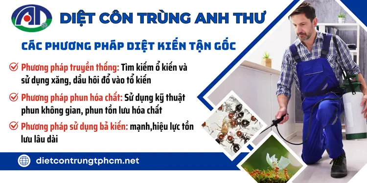 Các phương pháp diệt kiến của Anh Thư nhằm mang đến cho khách hàng hiệu quả cao nhất, chất lượng.