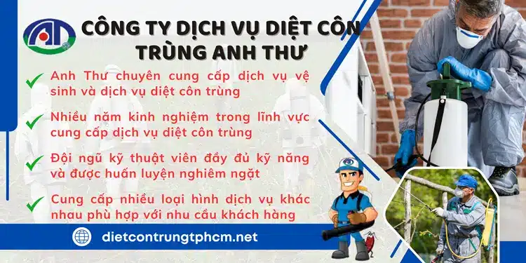 Công ty dịch vụ diệt côn trùng Anh Thư cam kết mang đến chất lượng dịch vụ tốt nhất, hiệu quả cao.