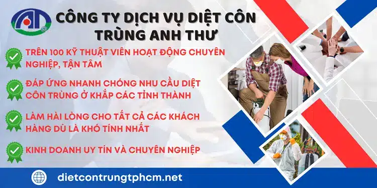 Công Ty Diệt Côn Trùng Anh Thư