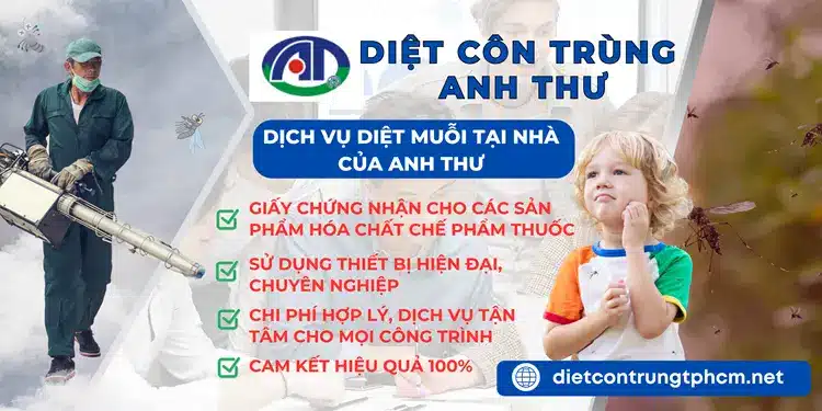 Dịch vụ diệt muỗi tại nhà của Anh Thư cam kết chất lượng, chi phí tiết kiệm, an toàn, thân thiện với môi trường.