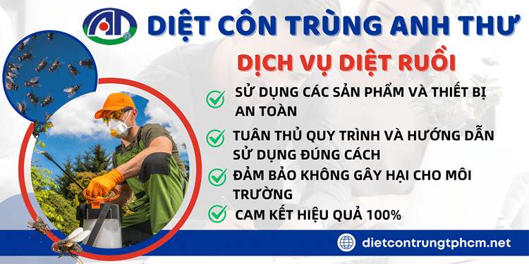 Dịch vụ diệt ruồi của Anh Thư cam kết diệt ruồi tận gốc tại nhà, hiệu quả triệt để và an toàn 100%.