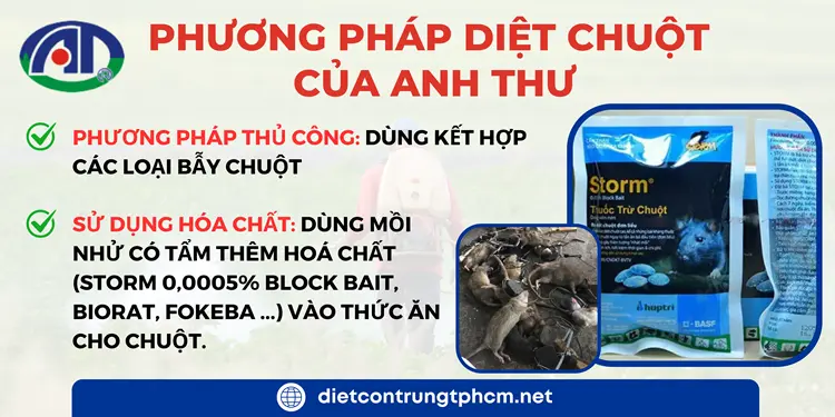 Anh Thư cung cấp phương pháp diệt chuột hiệu quả, an toàn cho sức khỏe và môi trường.