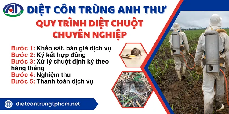 Quy trình diệt chuột của Anh Thư sử dụng các loại công cụ chuyên dụng để tiêu diệt chuột tận gốc, chuyên nghiệp.