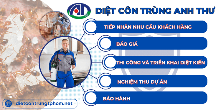 Quy trình diệt kiến của Anh Thư đảm bảo an toàn cho sức khỏe, chuyên nghiệp và đảm bảo quyền lợi tốt nhất cho khách hàng.