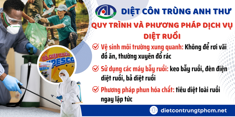 Quy trình và phương pháp diệt ruồi hiệu quả, chi phí thấp.