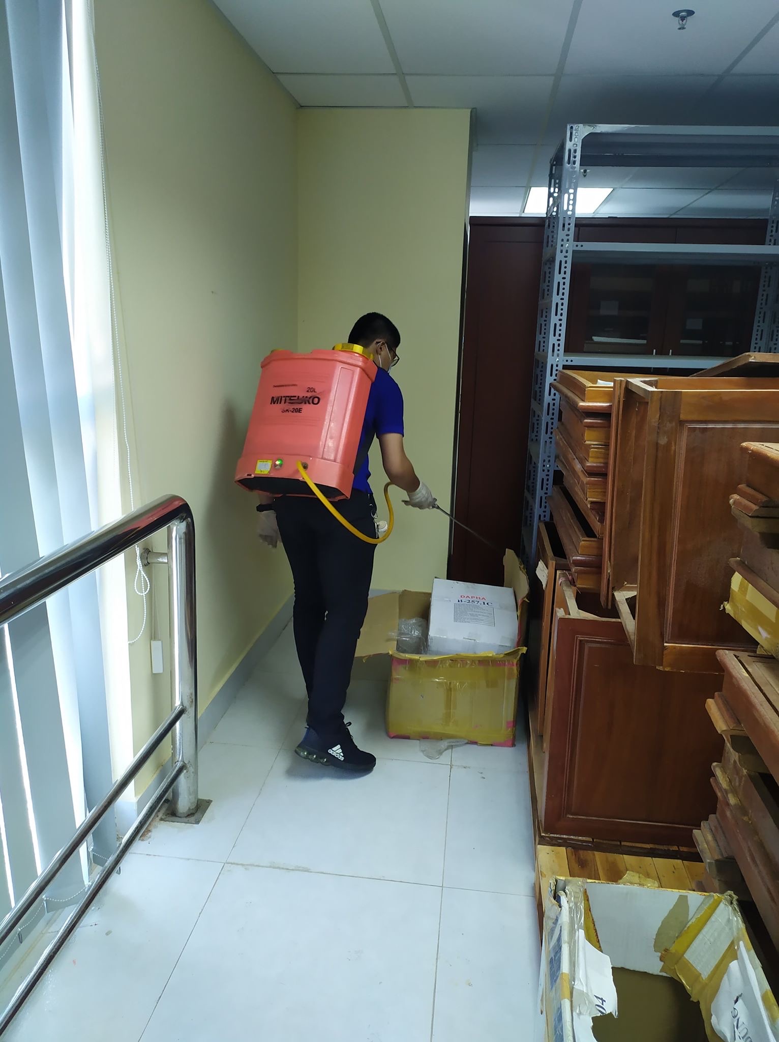 Khám phá 10+ loại thuốc diệt mối hiệu quả nhất 2025